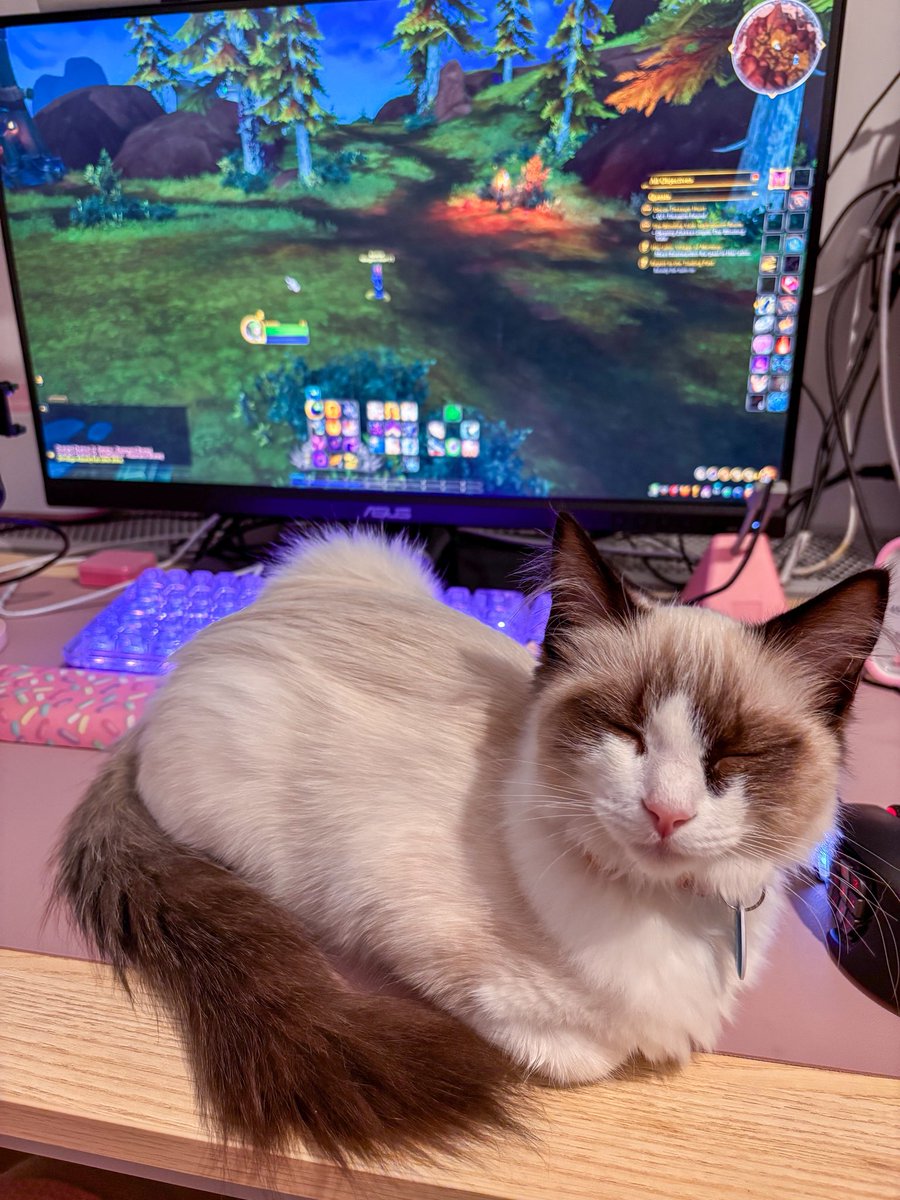 KiraKiraCosmo's tweet photo. this is why I’m not max level yet https://t.co/8YH5ZuCwoQ