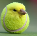 Dragonicz tweet media