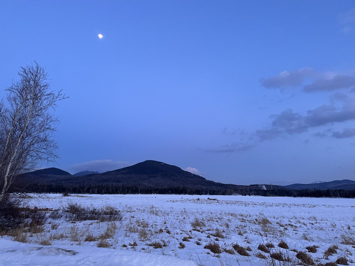 Hashtag_Erica's tweet photo. Winter beauty in Eustis. 🌖 https://t.co/keLAzgnSqz