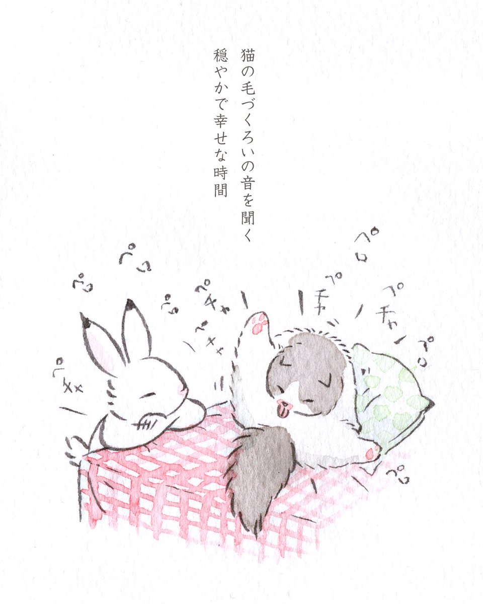 こなつ (@konatsu_tunacan) / Posts / X