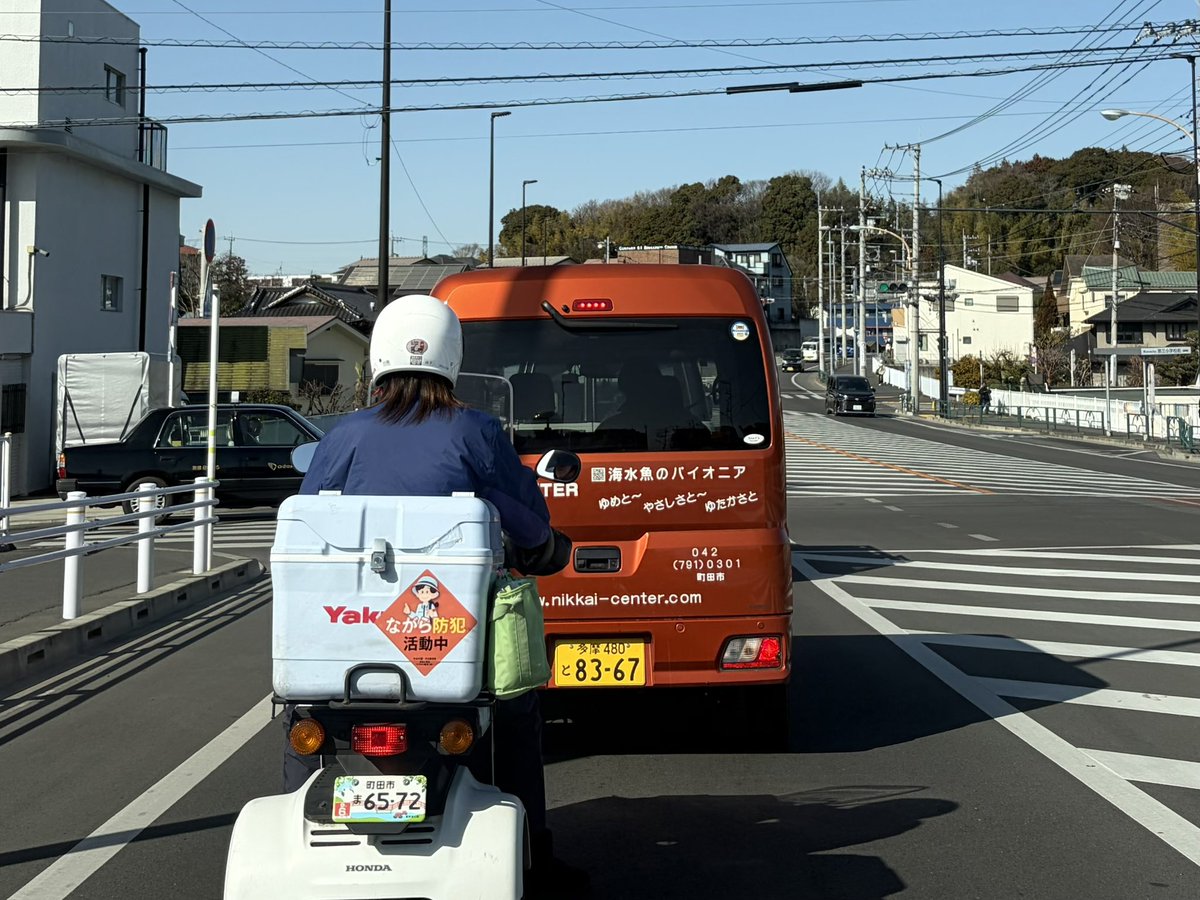 ShittakaTweet's tweet photo. 海水魚のパイオニアとヤクルトを尾行🚗 https://t.co/o4YnSFnWAJ