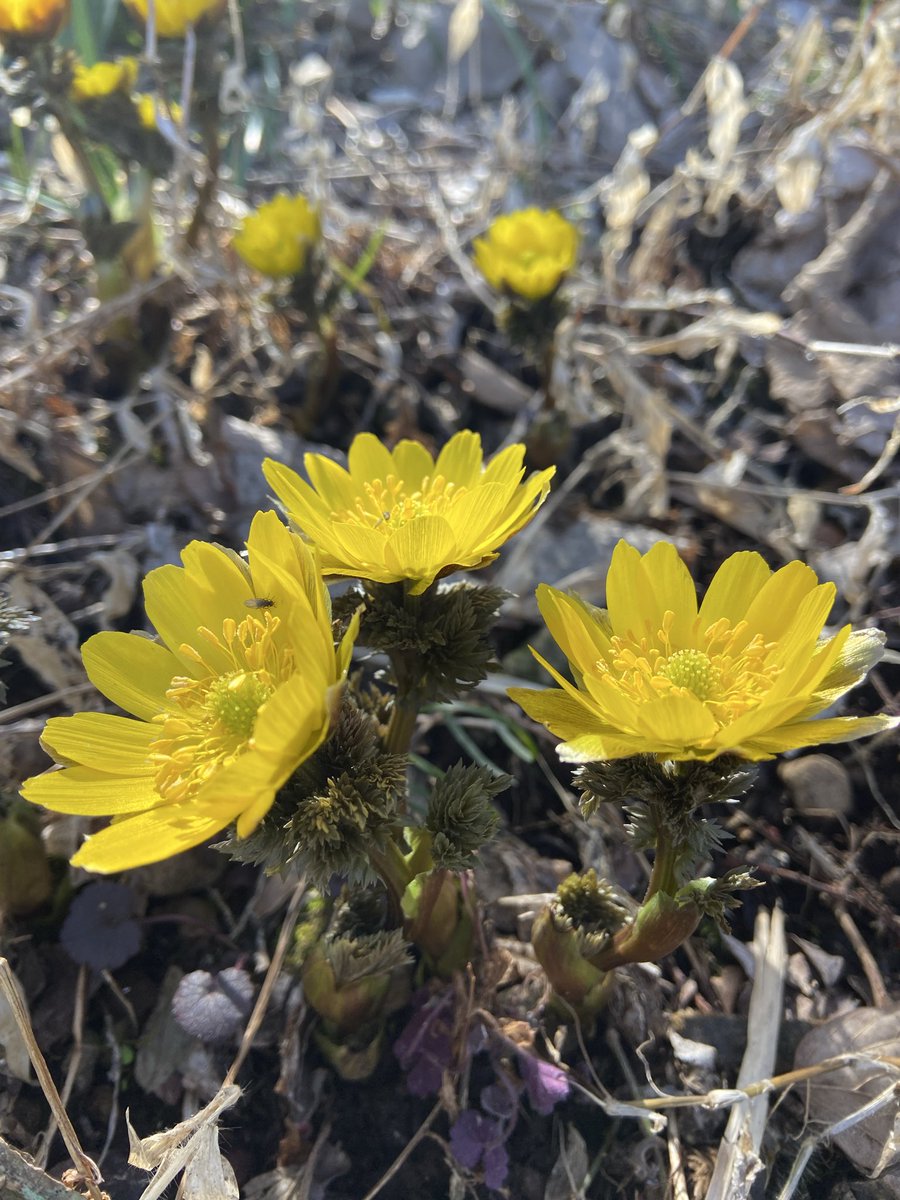 ギフNX71☆JS2JHV (@GifuNx71) / Posts / X