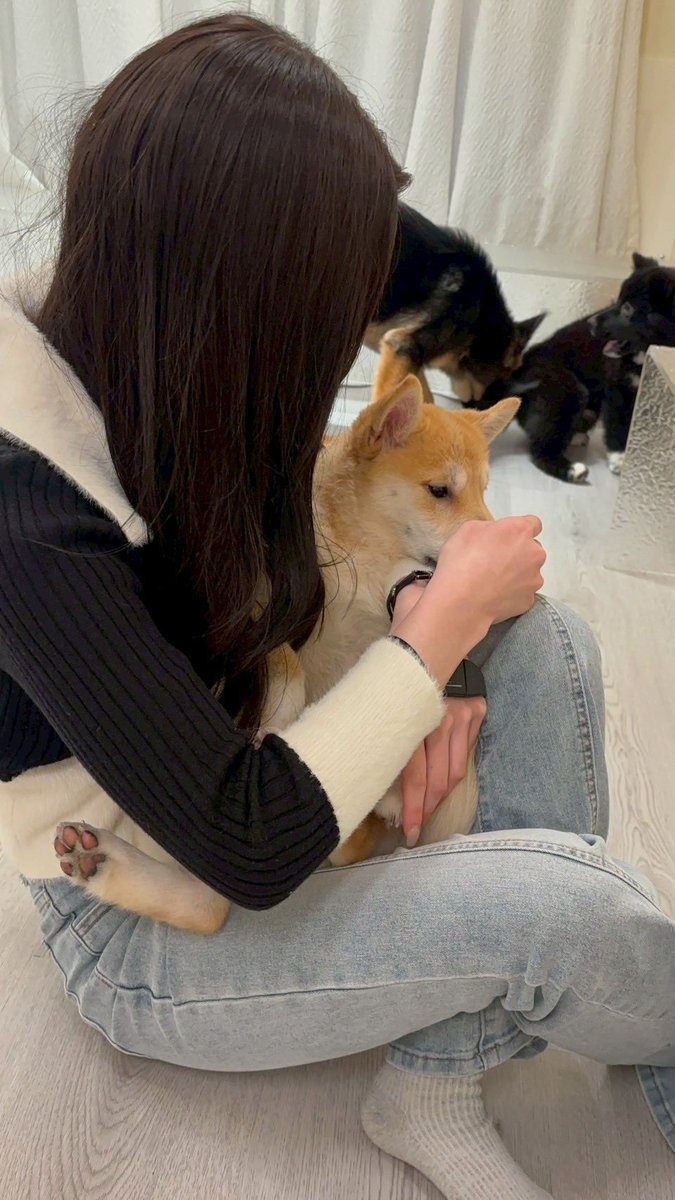 くんひで tweet media