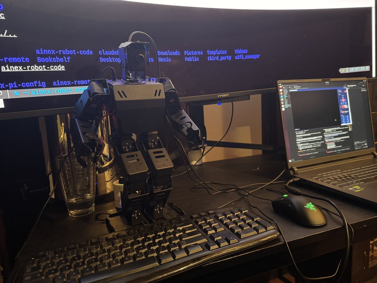 Shaw (spirit/acc) tweet media