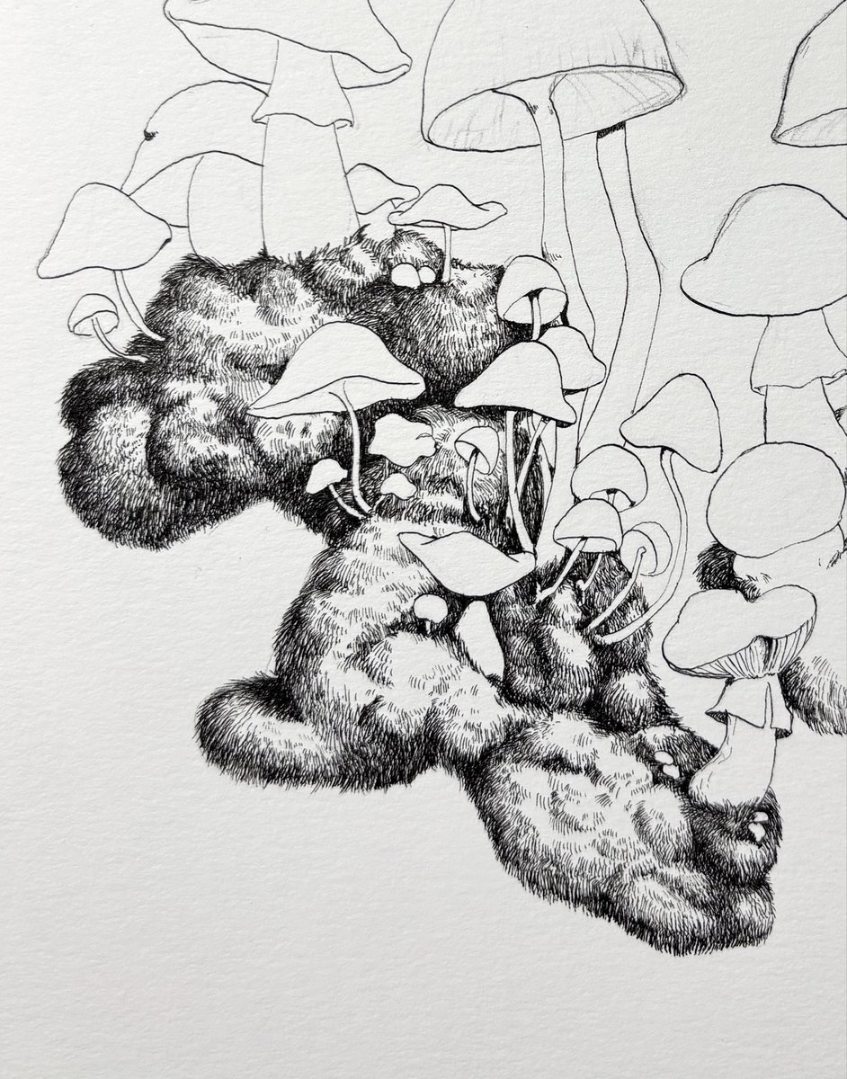 いい描き込みや🤤

 #ペン画 #アナログ #苔