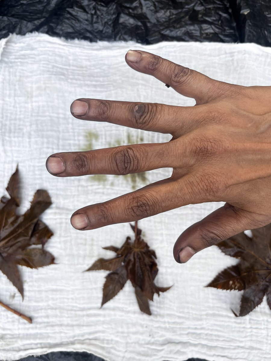 ChicoryLife's tweet photo. Joy of natural dye n printing and some colours on your fingers. #Naturalcolour https://t.co/IKIWKl4eeQ