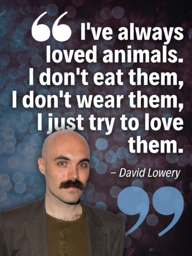 teamveganfta's tweet image. Animal lovers don't eat animals 💜

#veganquote #quotes #animallover