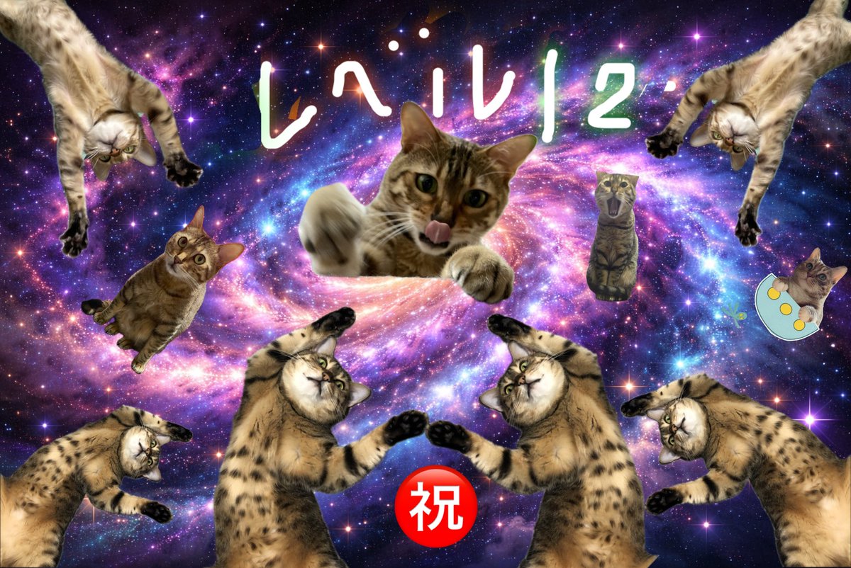 うめのこんぶ tweet media