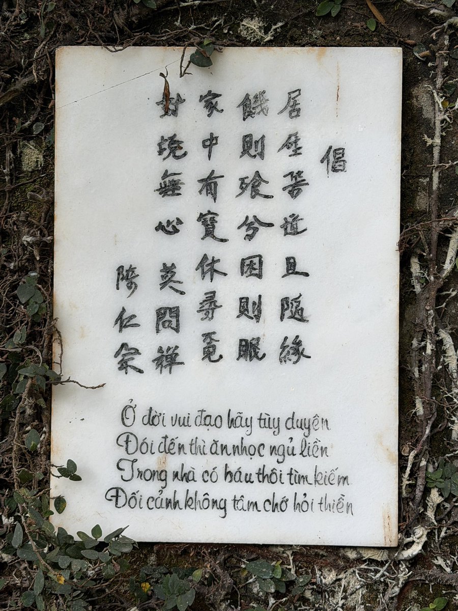 越南大叔 tweet media