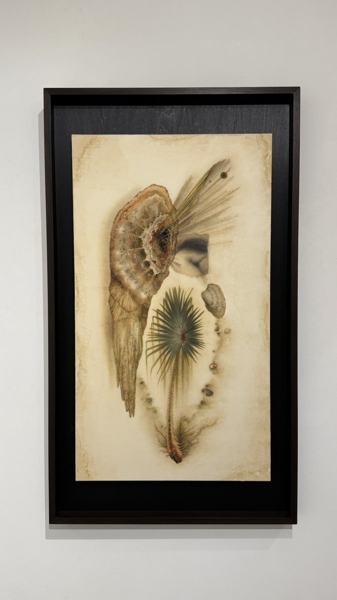 中島 綾美 𝒂𝒚𝒂𝒎𝒊 𝒏𝒂𝒌𝒂𝒔𝒉𝒊𝒎𝒂 tweet media