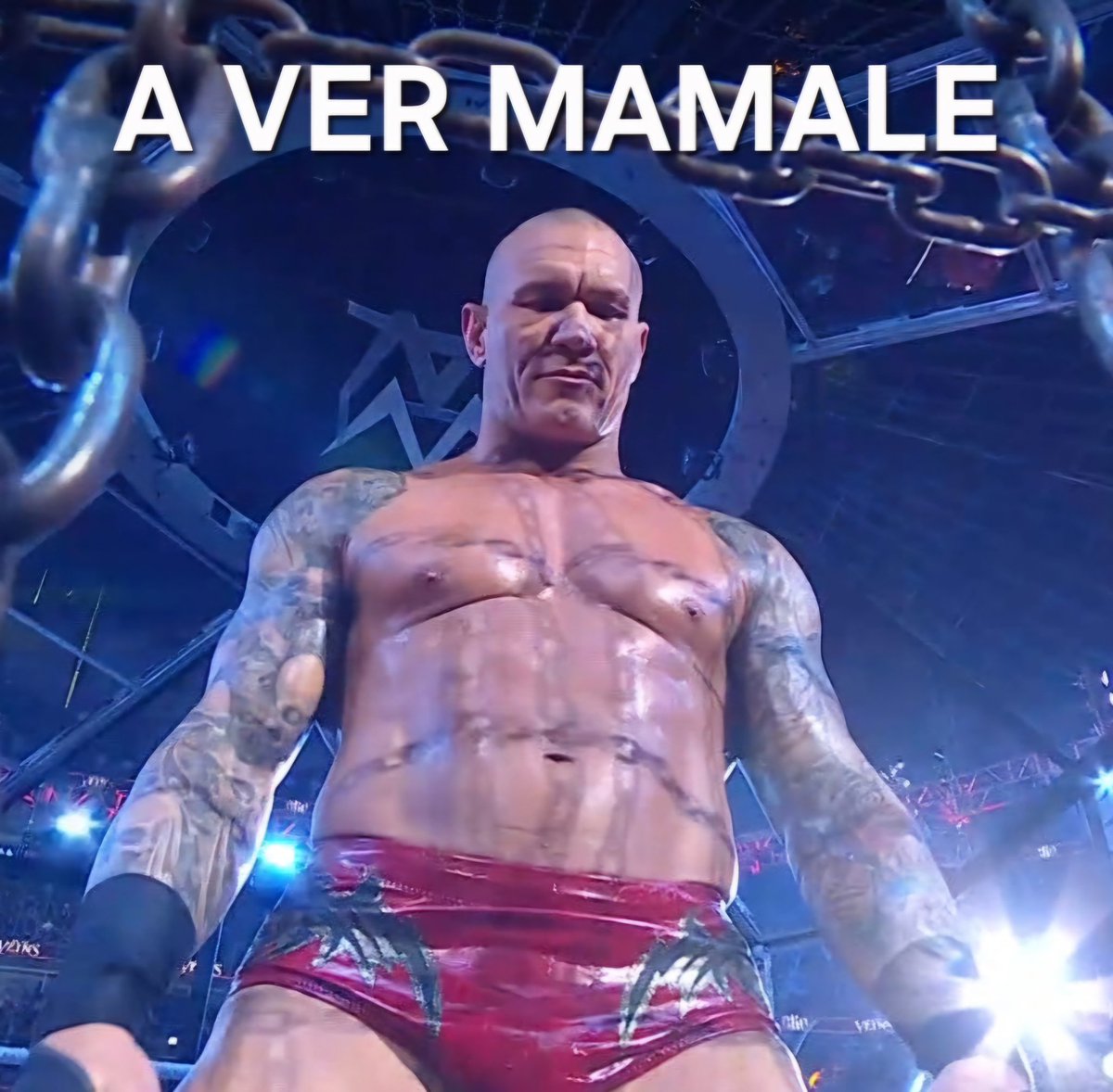 LES TOCA MAMAR VERGA DE LA VÍBORA