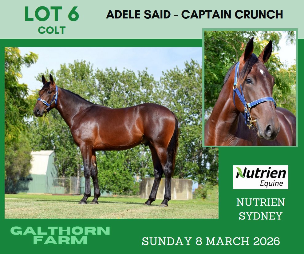 From the Galthorn Farms draft at Sydney next Sunday: 
<a href="/NutrienEquineSB/">Nutrien Equine Standardbred</a> 
<a href="/Alabarfarms/">Alabar Farms</a>