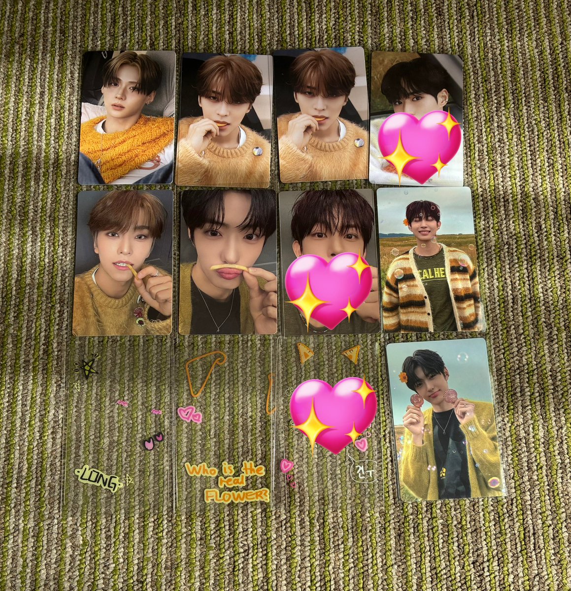 ガーベラ tweet media