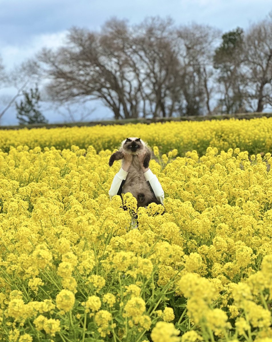 moka (@Moka0527Ramu) / Posts / X