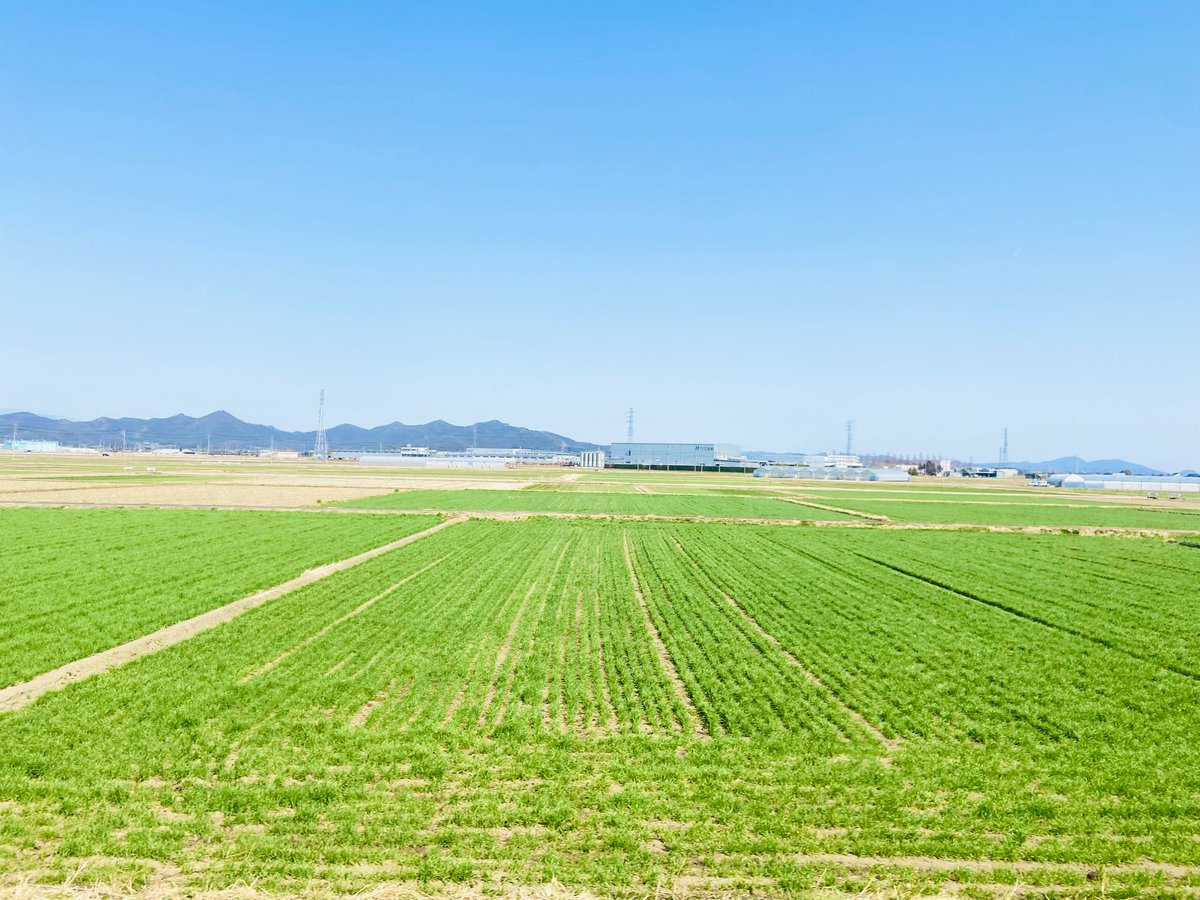 一昨日の大阪遠征の後、
そのまま居残りでお仕事しまして💦
現在地は足利のTSUKIHANA SOUNDS STUDIOへ向かってる電車内です🚅

今日はFivezzのアルバム制作✨
最終段階っ！！！

制作続きでしたが、一昨日みたいにパーンと弾けたLiveがあると一気にリフレッシュしますね〜😆