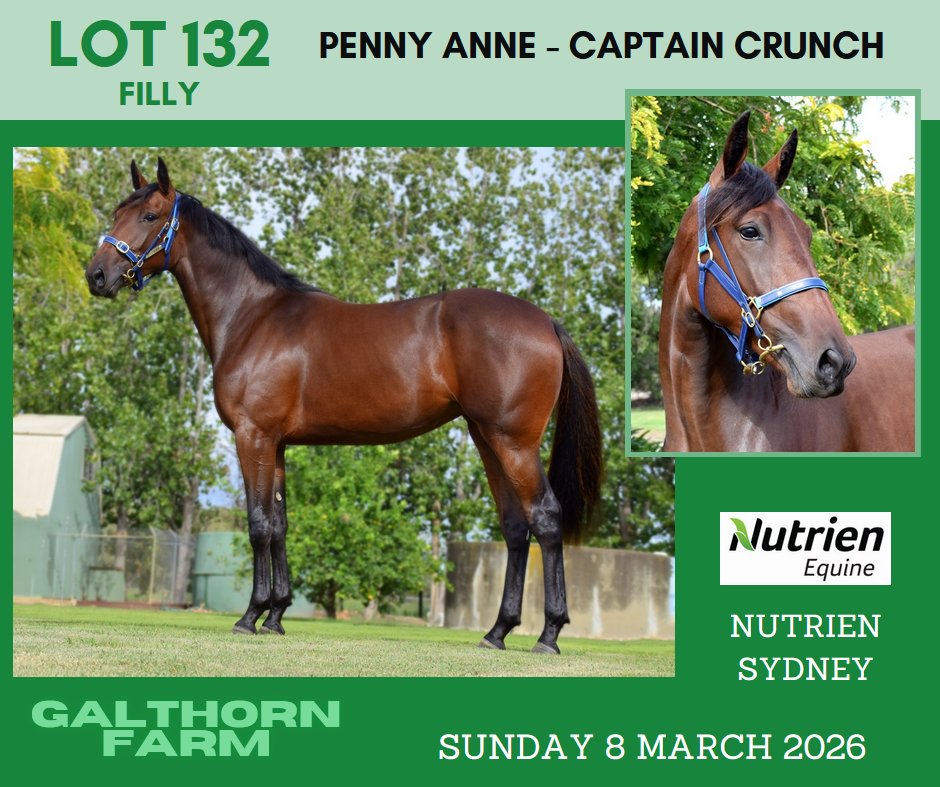 From the Galthorn Farms draft at Sydney next Sunday:
<a href="/NutrienEquineSB/">Nutrien Equine Standardbred</a>
<a href="/Alabarfarms/">Alabar Farms</a>