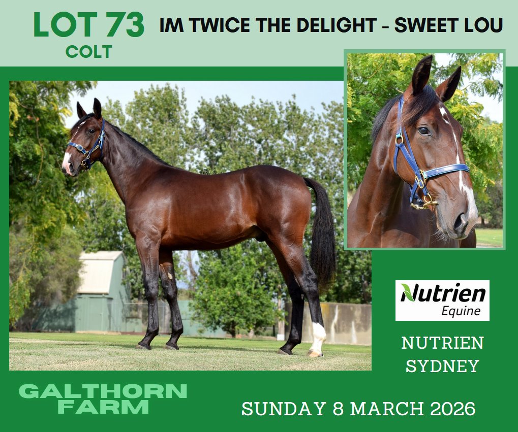From the Galthorn Farms draft at Sydney next Sunday:
<a href="/NutrienEquineSB/">Nutrien Equine Standardbred</a>
<a href="/WoodlandsStudNZ/">Woodlands Stud NZ</a>
