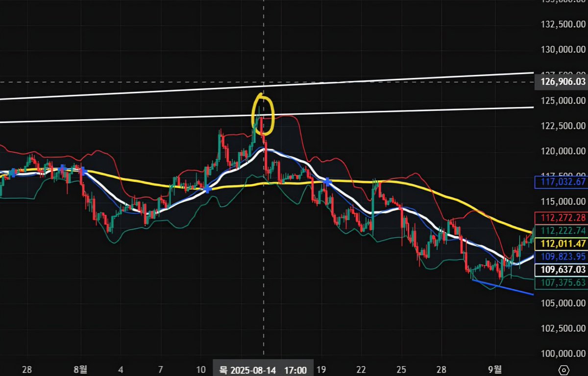 Pixie 🔮🤍 tweet media