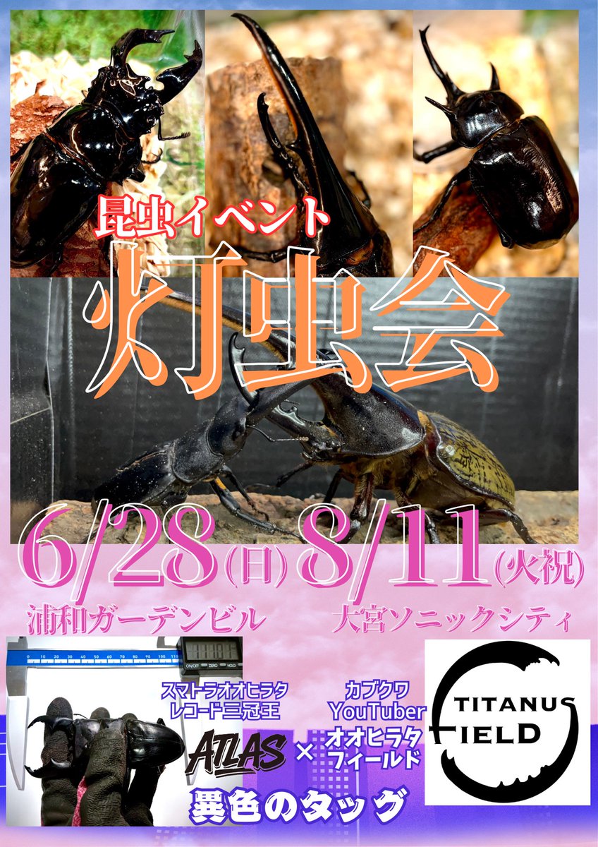 6.28(日)灯虫会の出品リスト 見るのはタダやでぇ😆 国産カブトRR阿古谷