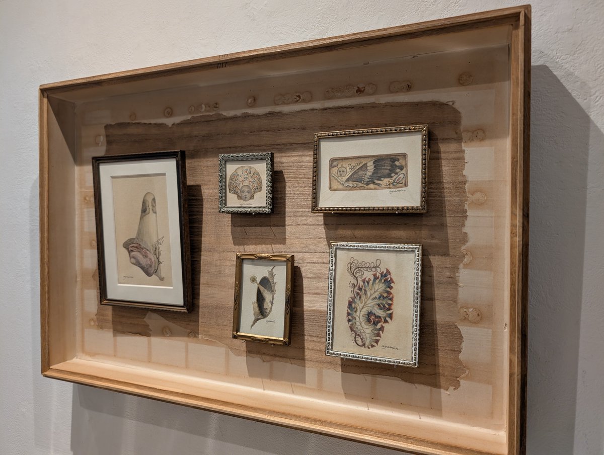 時計荘 島津さゆり tweet media