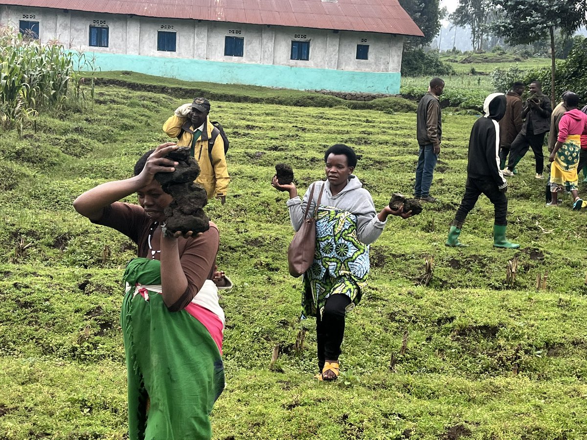 MUDENDE SECTOR tweet media