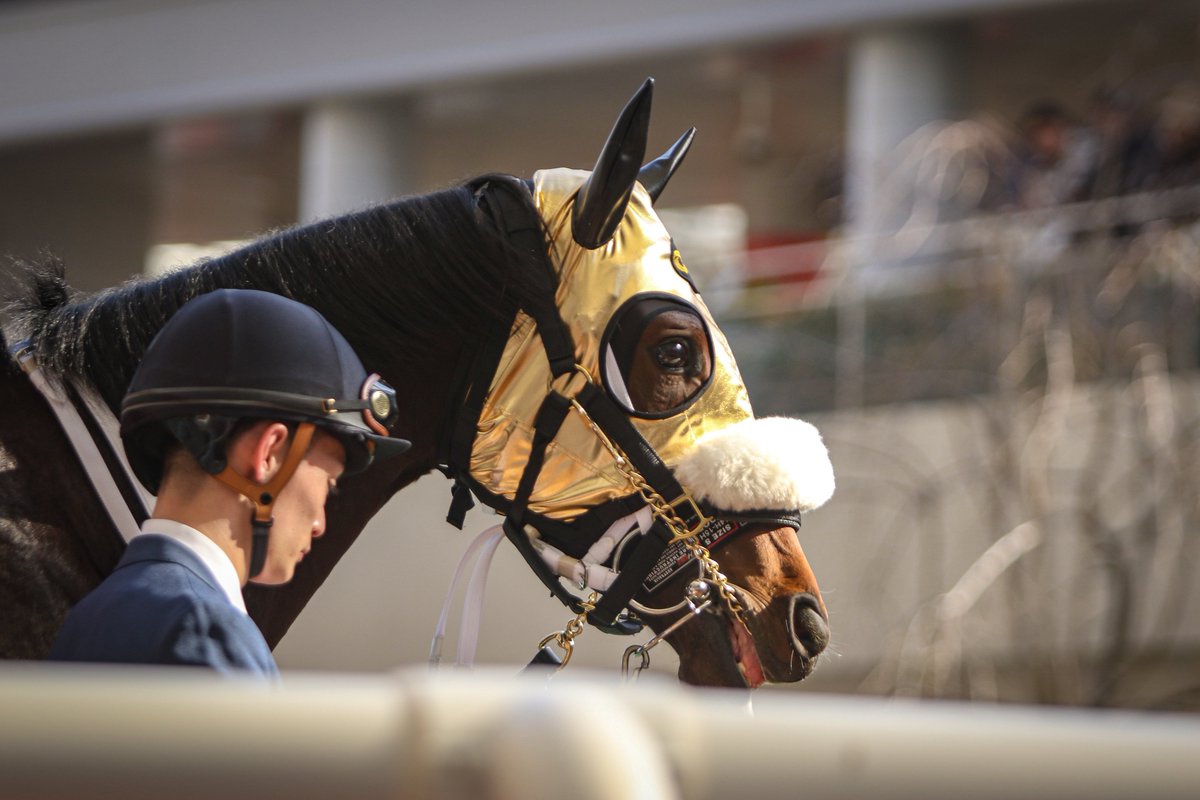 馬とね子 (@nekotouma88) / Posts / X