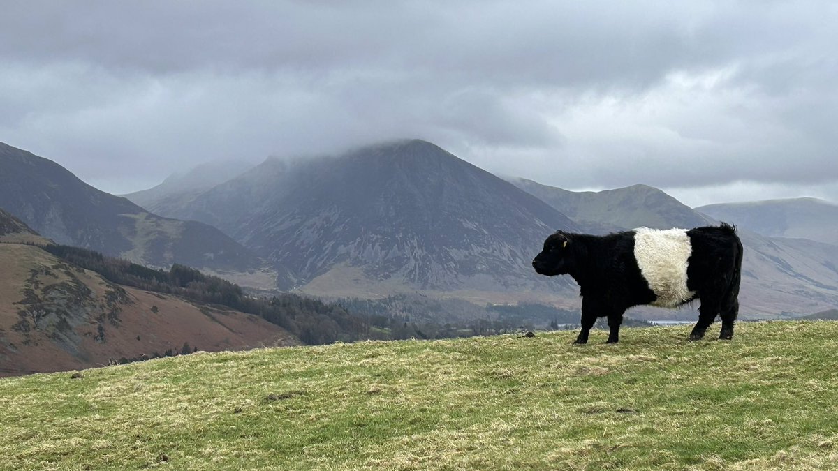Dave Allen 🏌️‍♂️🥾⛰ tweet media