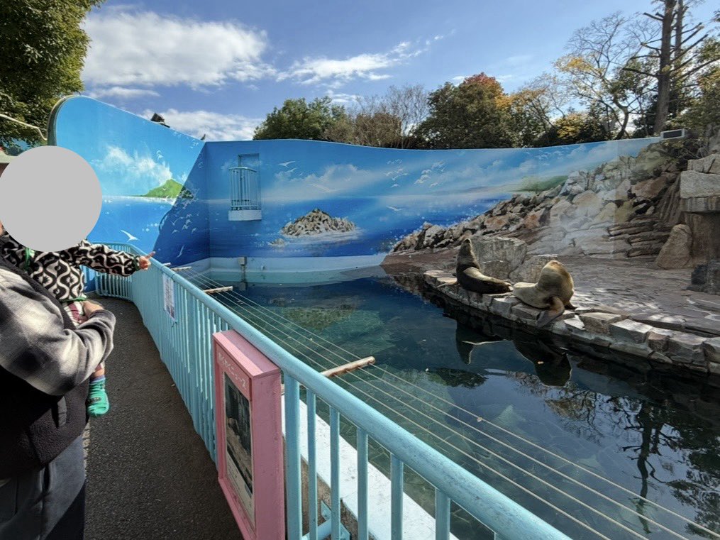 afro_and_me's tweet photo. 【江戸川区】無料で楽しめる自然動物園レポ🐒

12ヶ月の息子、初動物園🌱
動物を見つけて指差しする息子が可愛かった！小さめだからこそ「ちょうどいい」動物園🐧🌟
実際に行ってわかったリアルをまとめました🗒️

#無料動物園 #江戸川区
#江戸川区自然動物園

🔗https://t.co/ECbhI8OVNG https://t.co/fG3X070Rmc