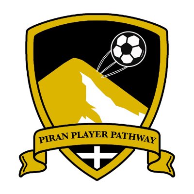 Piran Player Pathway tweet media