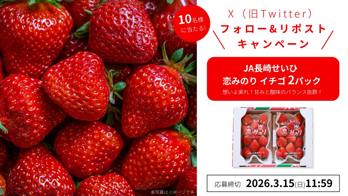 BAOBAO_JP's tweet photo. ／
📣プレゼントキャンペーン開催‼️
🍓長崎県産いちご「恋みのり」2パック📦
抽選でプレゼント🎁✨
＼

＜応募方法＞
■@BAOBAO_JPをフォロー
■3/15 11:59迄にリポスト

👉毎日応募🆗
当選者にはDMにてご連絡します‼️❤️‍🔥

#懸賞 #キャンペーン #その場で当たる
#プレゼント企画 #プレゼント https://t.co/P9IOTqlSRC