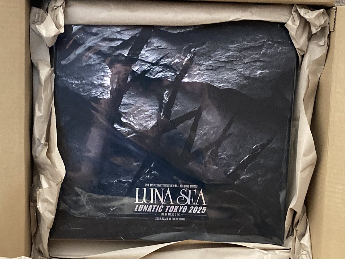 LUNATIC TOKYO 2025のSLAVE限定のBlu-rayが届いたけど 生で観た時は 