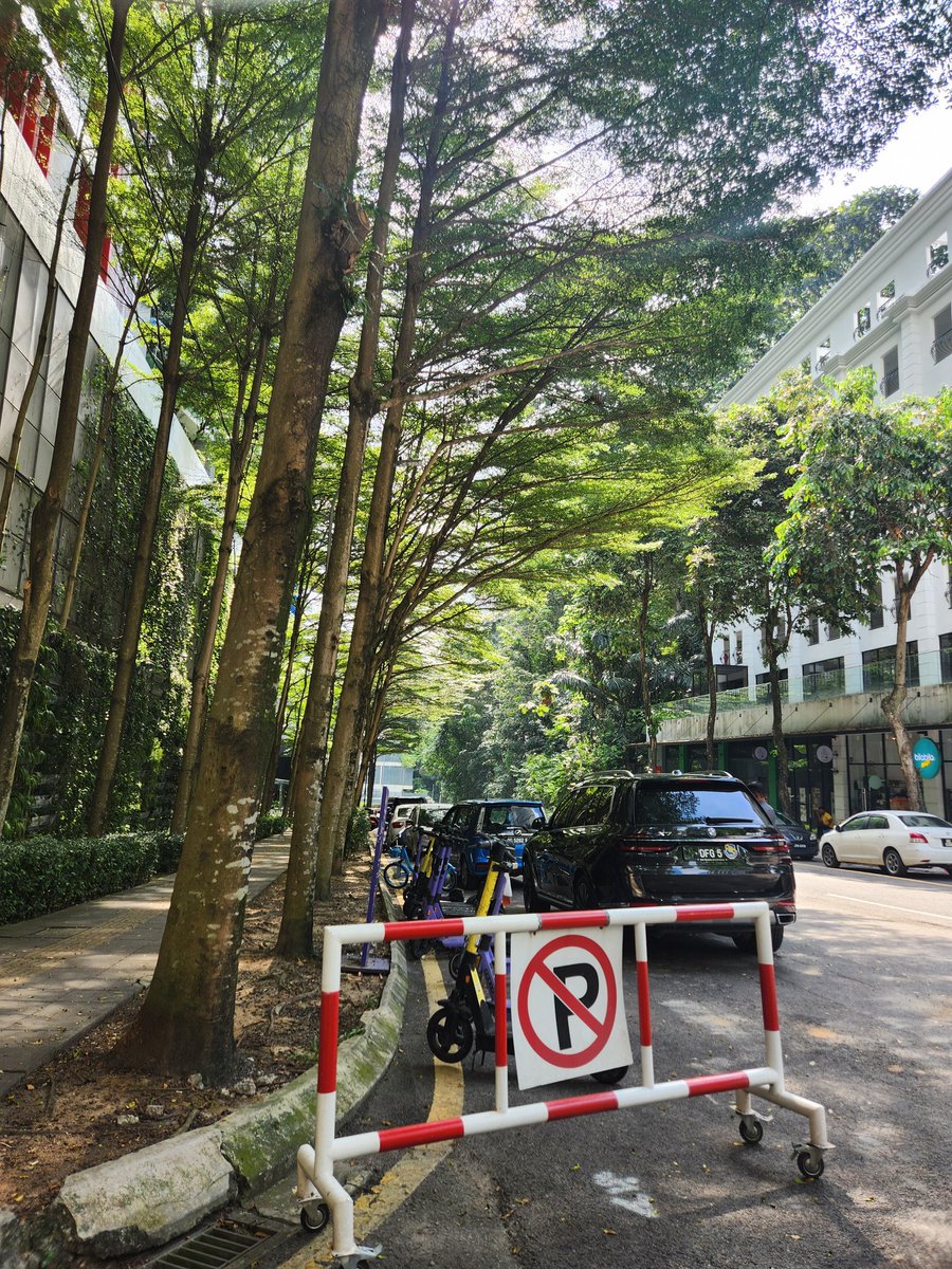 Shihab🇧🇩 tweet media