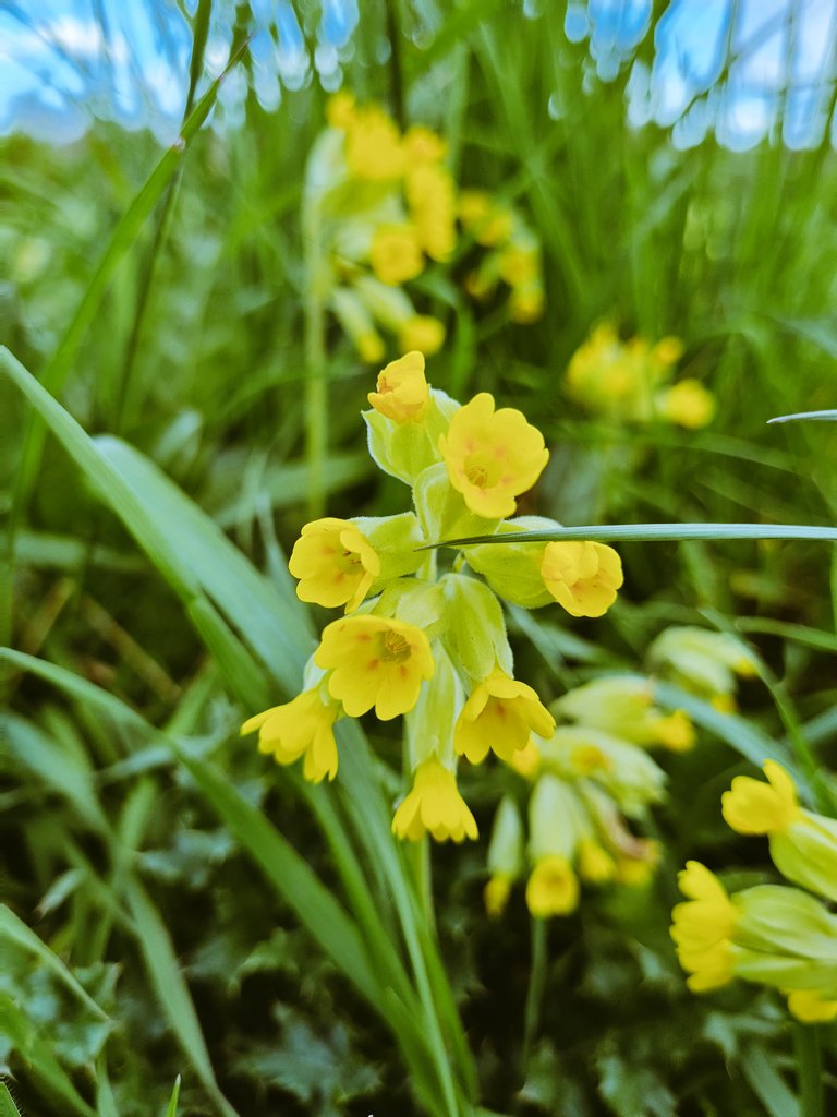 Shakespeare in a Suitcase📚 🎭 tweet media