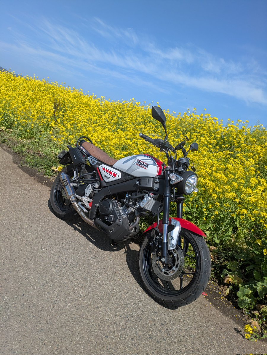 YodakinBo_Rider's tweet photo. 昨日の2月28日と今日の3月1日、たった1日違いだけど月が変わるだけでシールド越しの景色や雰囲気もグッと変わる。
今日はmotoGP開幕戦やバスケW杯予選の放送もあるしで大人しくするつもりがつい陽気に誘われ……
さんきょうみらい豚のカツサンドとおやつでのんびり。

#XSR155
#155cc https://t.co/uV8CjOP2fo