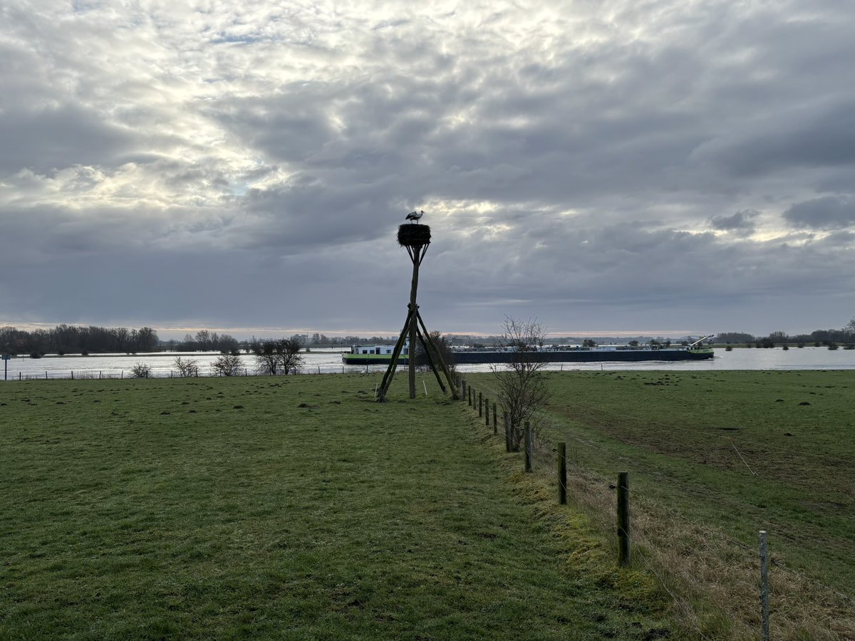 Mpvanderwal's tweet photo. Ooievaars nest bij Zalk zit vol!
#Zalk #Zwolle #OnTheMove https://t.co/s0GIGuxDqO