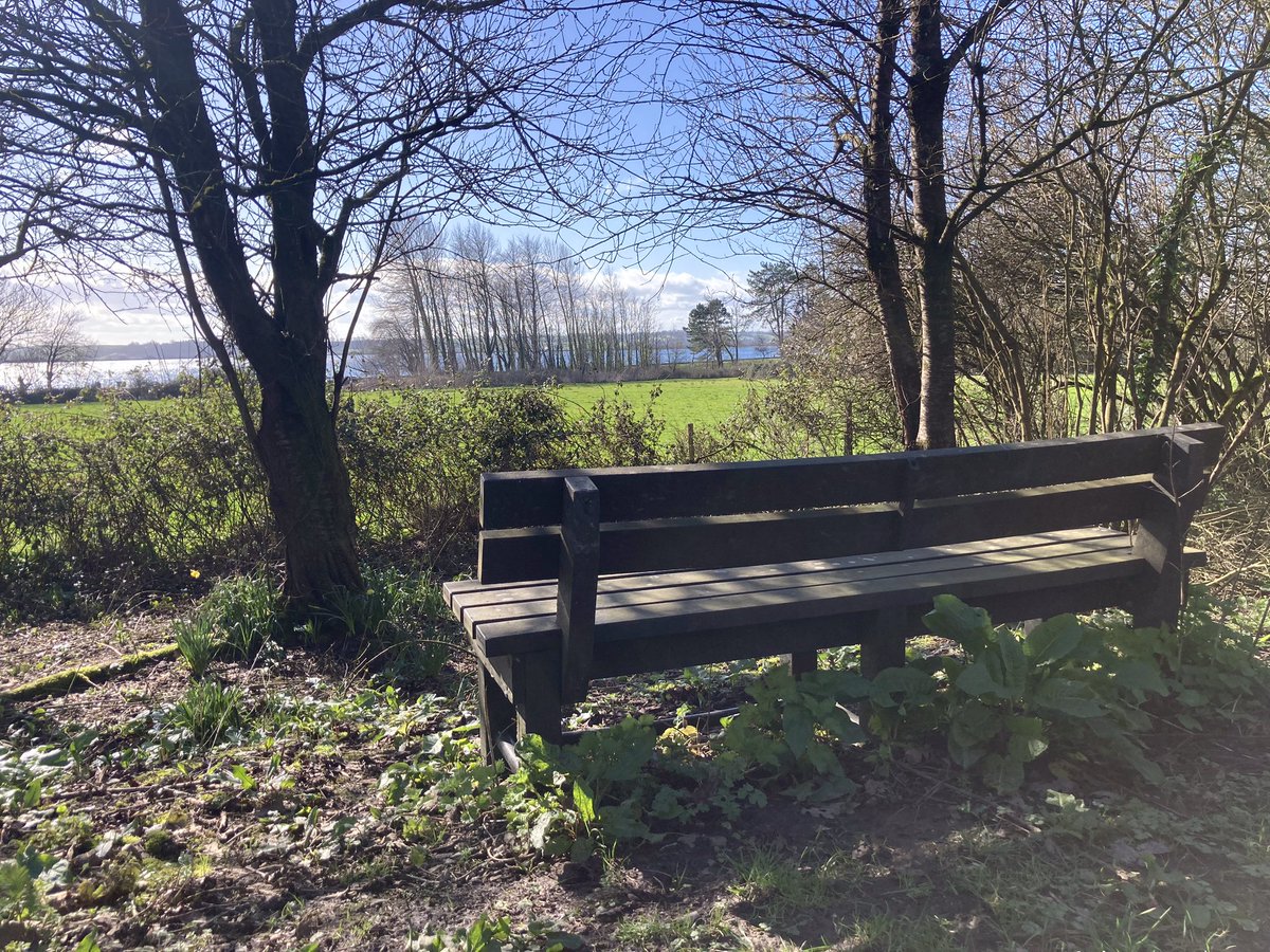 The Strawberry Line tweet media