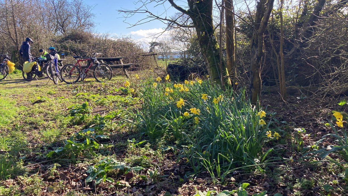 The Strawberry Line tweet media