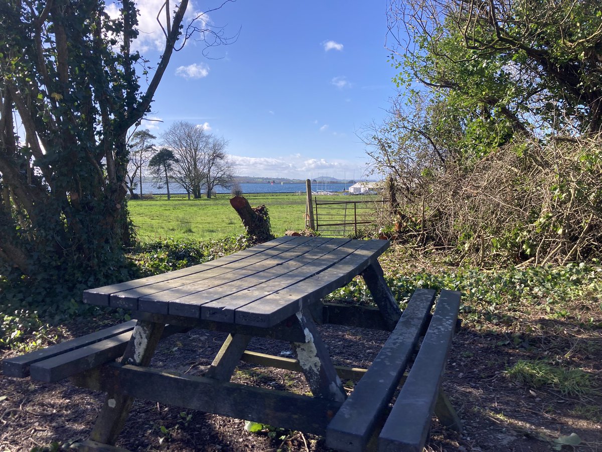 The Strawberry Line tweet media