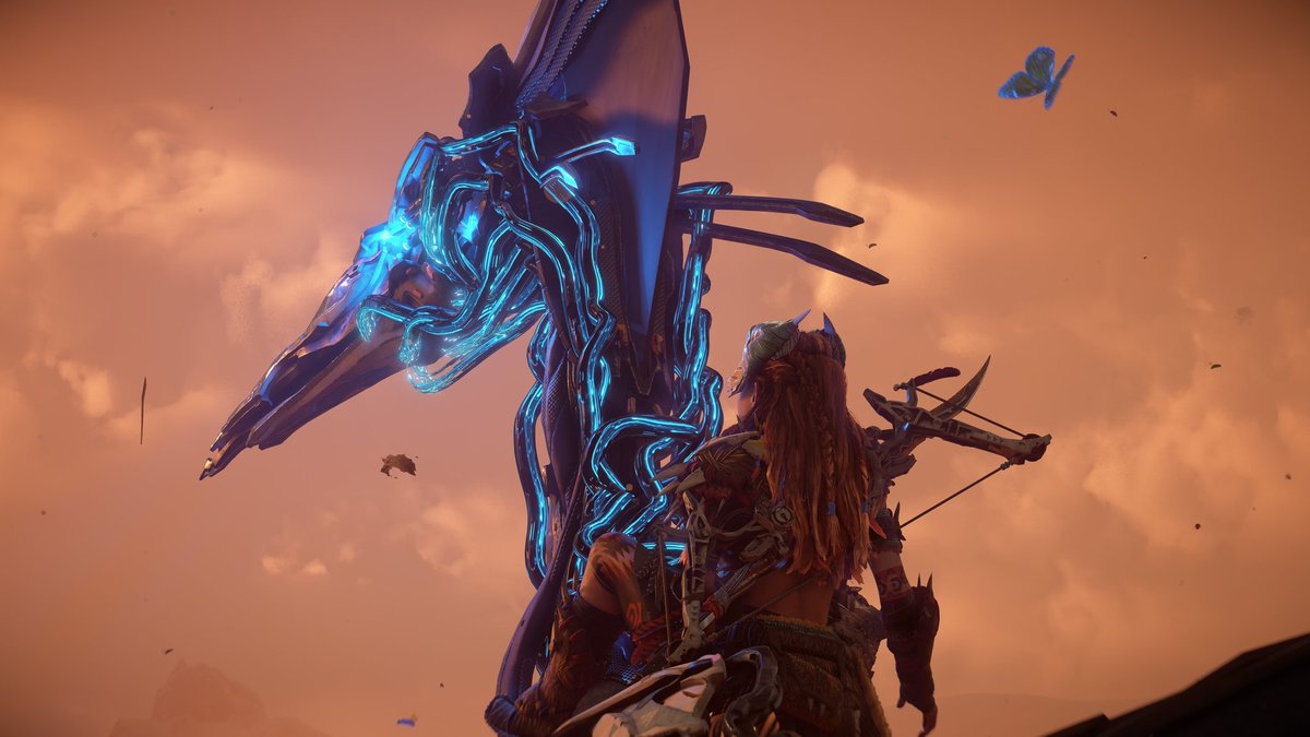 treeblazah's tweet image. Adventure with my buddy 👩🏼‍🦰🦅
#SunlightSundays #VPTree #ShadesofHorizon