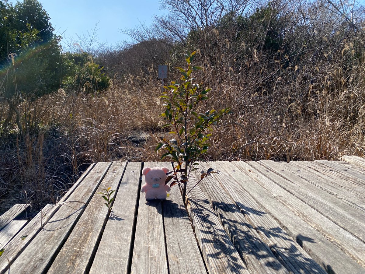 akymch's tweet photo. 島🌋 https://t.co/KjMUlWi6ti