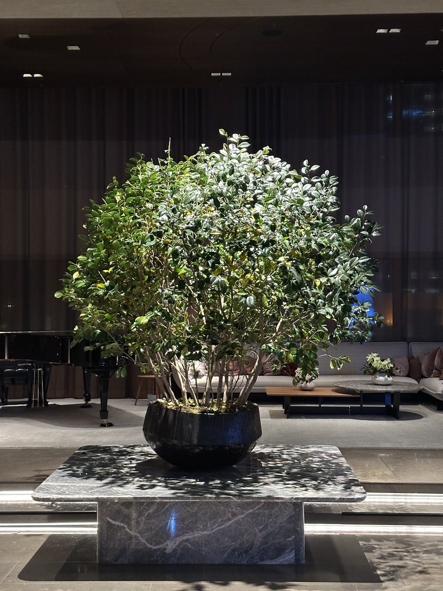 00HIP00's tweet photo. JW Marriott Hotel Seoul https://t.co/GITpafoUze