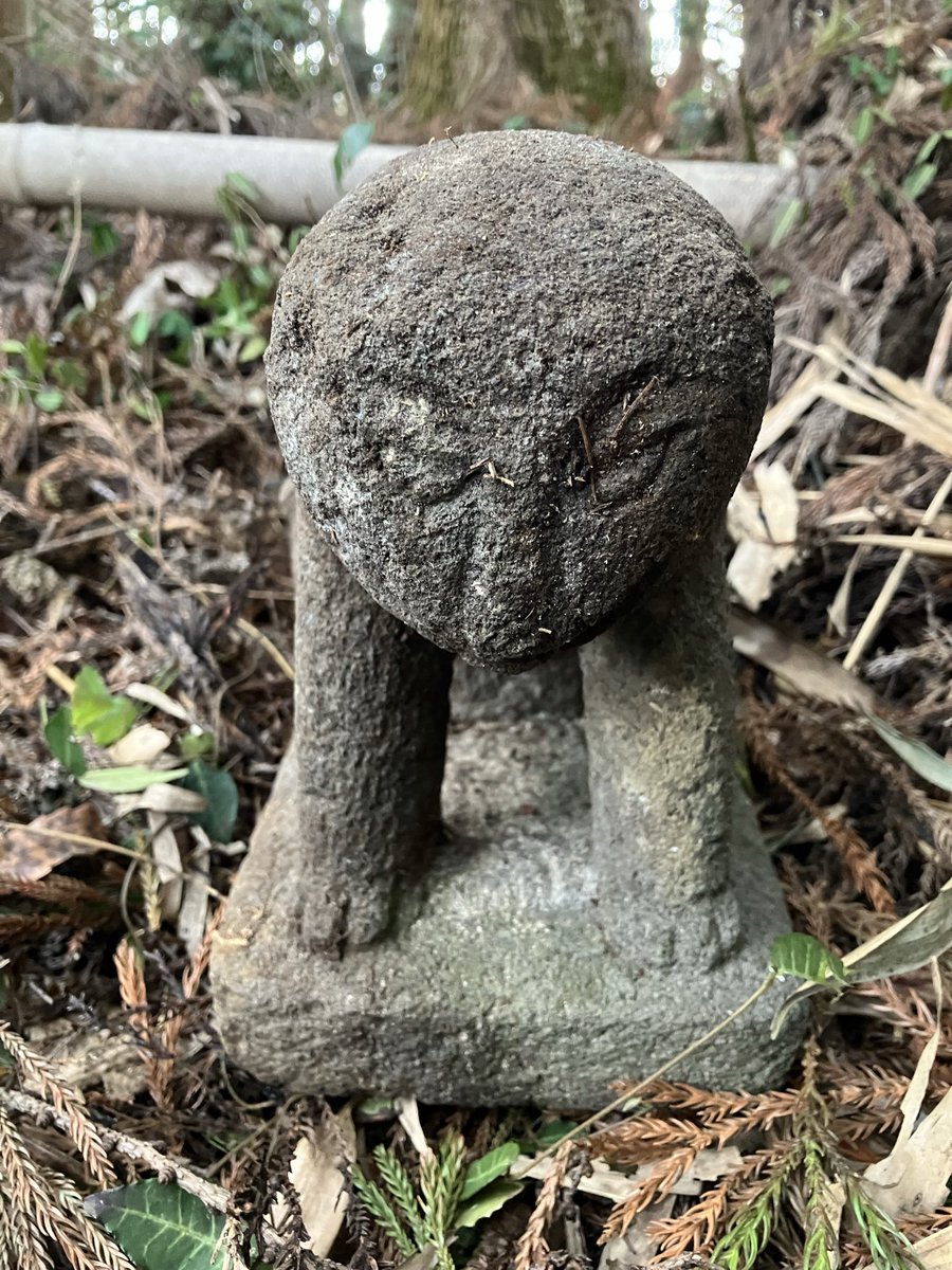 ねこ太朗 (@nekotaro1601) / Posts / X