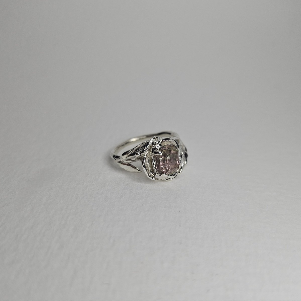 J/N✨️ tweet media