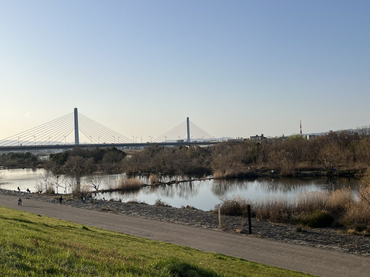 🎣ロキの釣り日記📖 tweet media