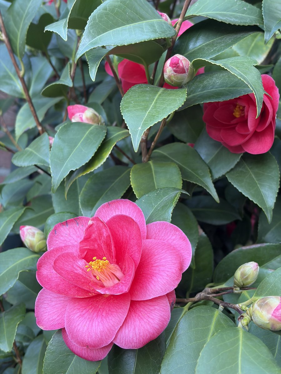 Brain Porn tweet media