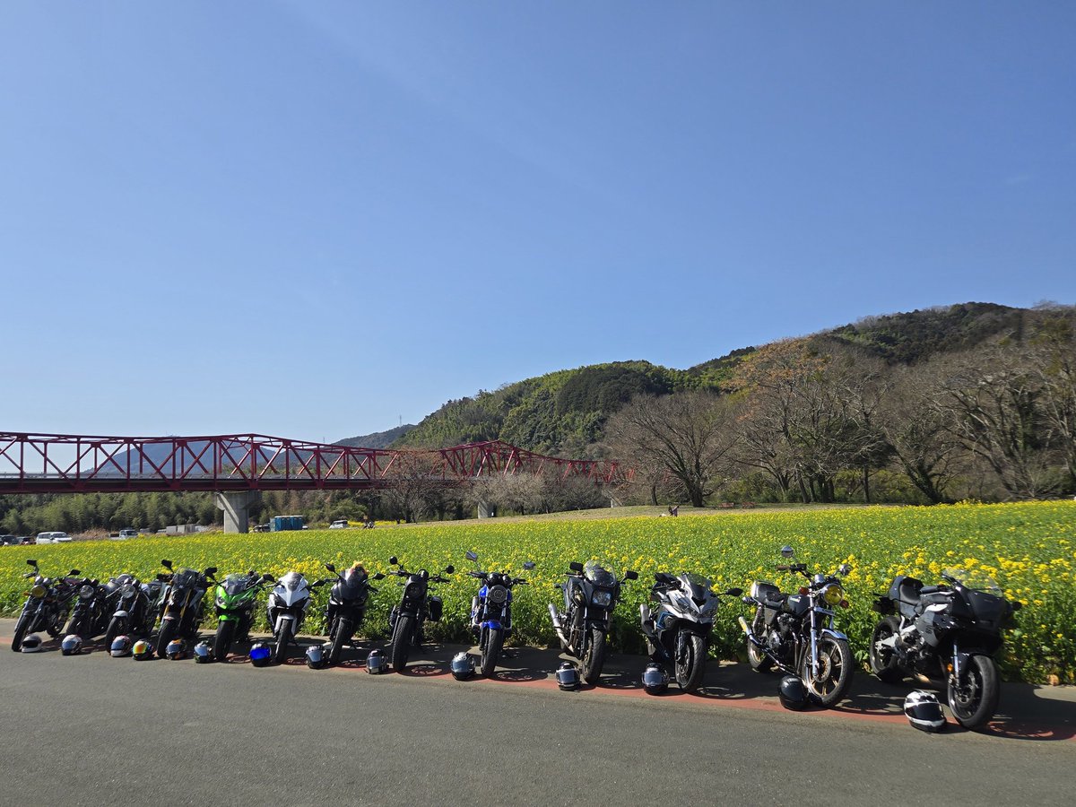 a_tomewave's tweet photo. #菜の花ツーリング https://t.co/Utdf1gvbGY
