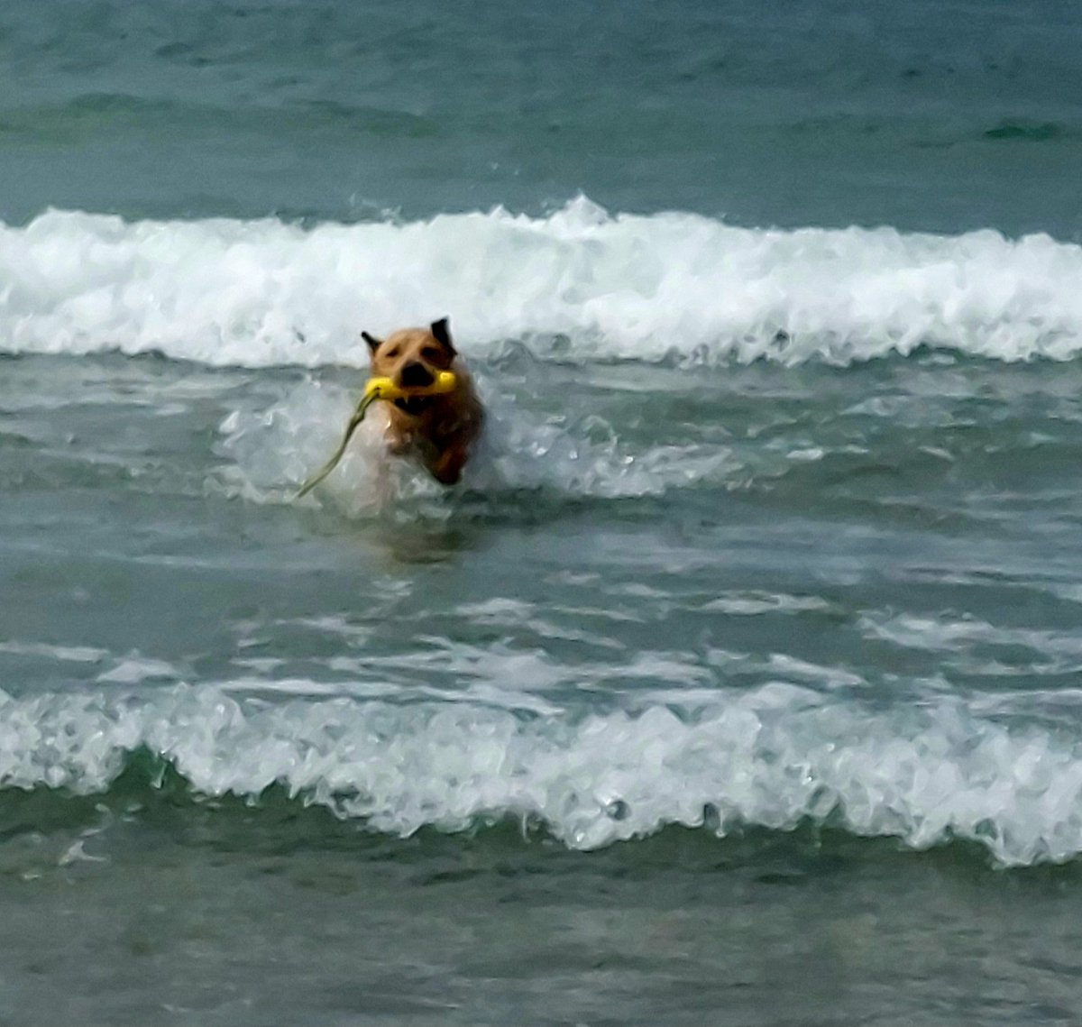 Alcester Academy Sci Dept🌈 tweet media