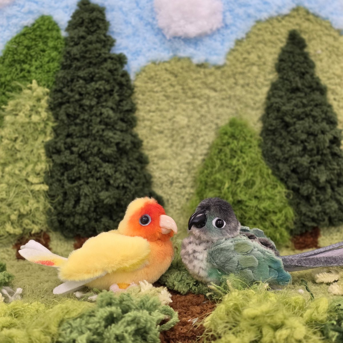 소소한 인형공방💕 tweet media