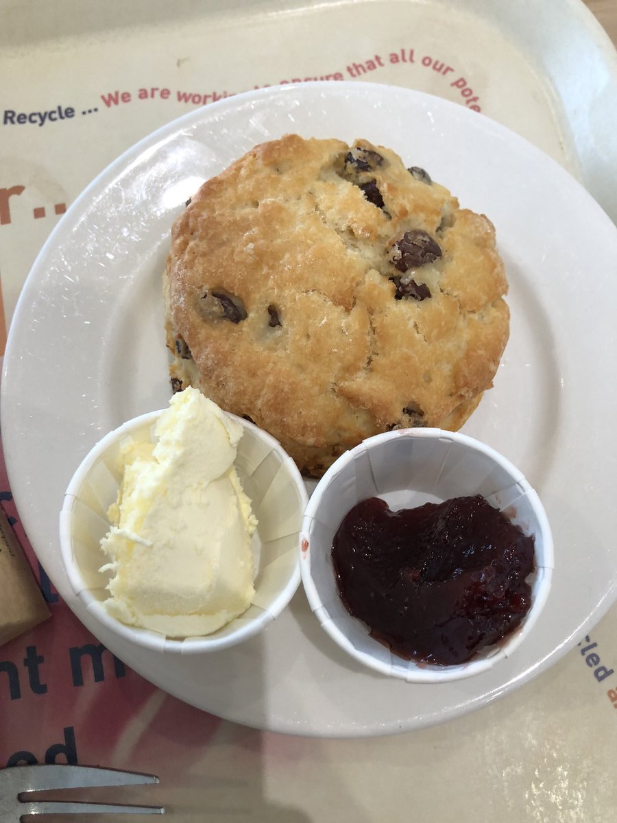MDeFreese's tweet photo. Yesterday, I walked 9km around the @EdenProject in Cornwall, UK β followed by tea and scones. πΏβ #EdenProject #SustainableTourism #Regeneration #NatureLovers https://t.co/2b3H1V22Ci