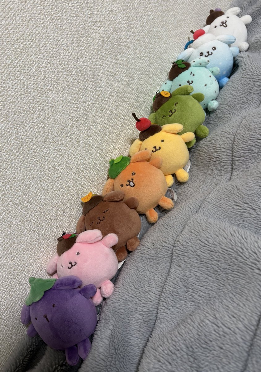 🌈ポム行列
みんな違ってみんないいっ😳
#ポムバサダー